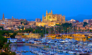 palma